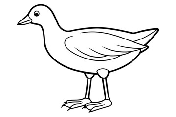 Moorhen Outline Illustration
