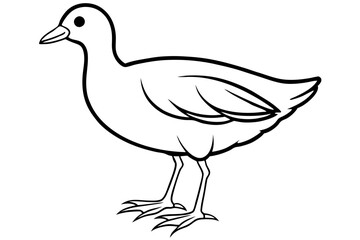 Moorhen Outline Illustration