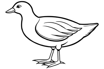 Moorhen Outline Illustration