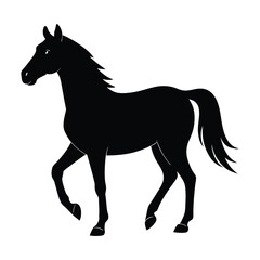 Silhouette of a Walking Horse on a White Background