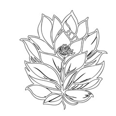 Elegant floral arrangement featuring layered petals in delicate linear outline art