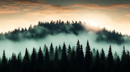 Mountain ridge covered in trees and fog, illuminated by a golden sunrise Serene, peaceful scene