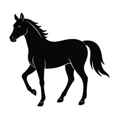 Obraz premium Silhouette of a Walking Horse on a White Background