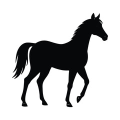 Silhouette of a Walking Horse on a White Background
