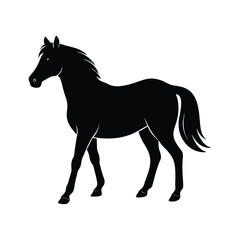 Obraz premium Silhouette of a Walking Horse on a White Background