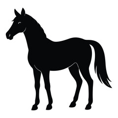Silhouette of a Walking Horse on a White Background