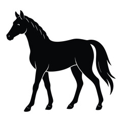 Obraz premium Silhouette of a Walking Horse on a White Background