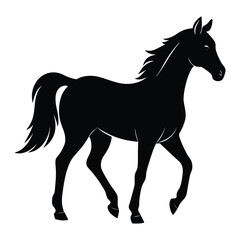 Silhouette of a Walking Horse on a White Background