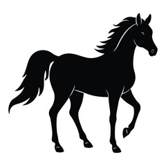 Silhouette of a Walking Horse on a White Background