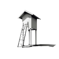Naklejka premium Elevated Wooden Beach Hut with Ladder - Black and White Photography