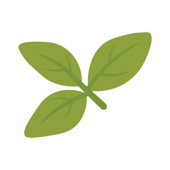 Simple cartoon basil leaves branch for cooking, decoration, isolated, flat vector food style.
