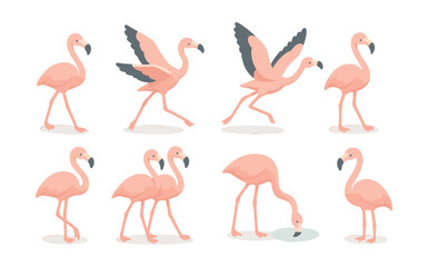 Obraz premium Flamingo icon set – walking, flying, standing, feeding, pink birds, elegant poses