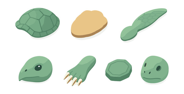 Turtle anatomy icons set &ndash; shell, head, flipper, claw, scale, tail