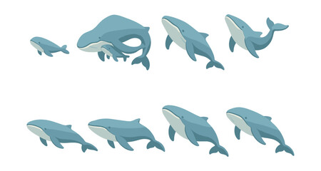 Fototapeta premium Whale icons set – blue, humpback, pod, calf, swimming, marine life, ocean