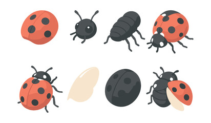Naklejka premium Ladybug and insect icons set – ladybug, beetle, bug, insect, red, black, dot, shell, nature, wings