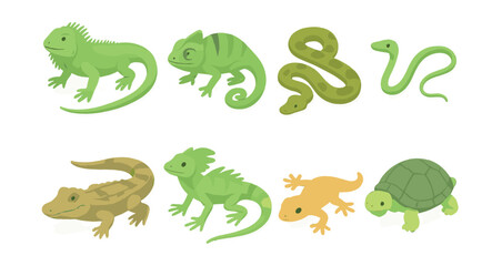 Obraz premium Reptile icons set – iguana, chameleon, snake, lizard, gecko, tortoise