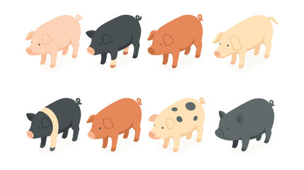 Fototapeta premium Cute farm animal icons set – pigs in various colors and patterns for agriculture designs