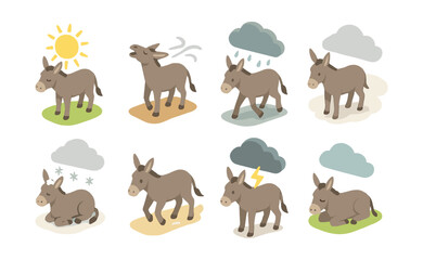 Donkey emotions and weather icons set &ndash; happy, stressed, rainy, cloudy, snowy, sleeping