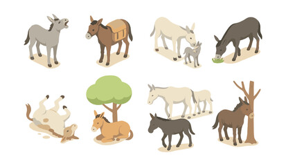 Farm animal icons set – donkeys in various poses and activities