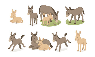 Adorable donkey icons set – foal, grazing, resting, playful, mother-foal, walking