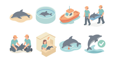 Dolphin conservation icons set – rescue, caring, habitat, release, protection, education