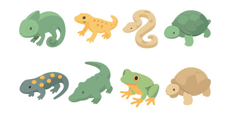Fototapeta premium Reptile and amphibian icons set – chameleon, gecko, snake, turtle, salamander, crocodile, frog, tortoise