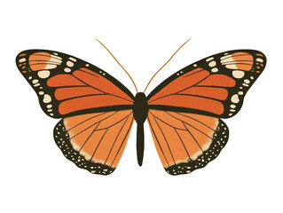 Fototapeta premium Vibrant Monarch Butterfly Illustration Showcasing Detailed Wing Patterns and Bright Orange Colors Against a Black Background for Nature and Art Projects