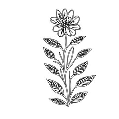 Elegant minimalist floral line art illustration with decorative leaves design