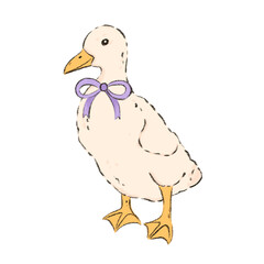 Pencil colored cute duck with bow isolated on white background. Farm easter goose bird. Hand drawn duckling baby animal illustration