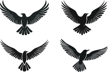 Obraz premium Set of flying birds wings vector