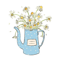 Pencil colored pitcher vase with daisy flowers isolated on white background. Hand drawn vintage spring floral bouquet in jug vase illustration