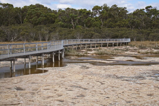 Boardwalk on Lake Clifton in Yalgorup National Park southly of Mandurah, Western Australia, Australia
