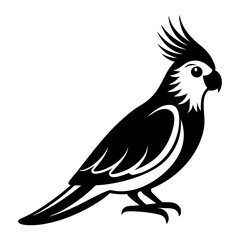 Download Cockatiel Vector Svg File For Design.