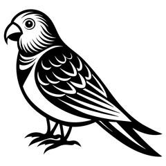 Obraz premium Download Parakeet Vector Svg File For Design.