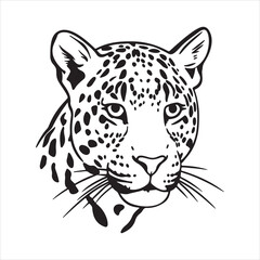Powerful Leopard Stealth and Beauty