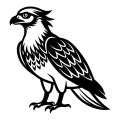 Download Osprey Vector Svg File For Design.