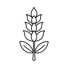 Simple Line Drawing of Lupine Flower