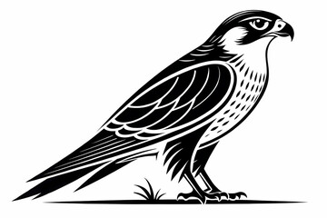 Fototapeta premium Majestic Peregrine Falcon A Striking Black and White Illustration of a Powerful Bird of Prey