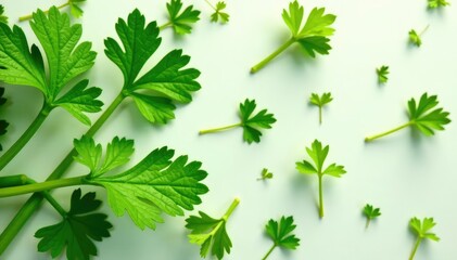 Close-up of parsley sprigs forming a geometric pattern , detail, parsley, layout
