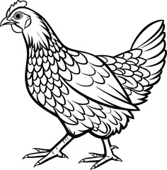 vector illustration of a chicken