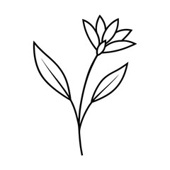Simple Line Drawing of a Flower