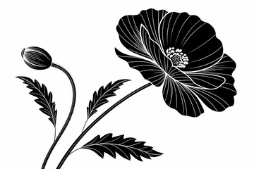 Fototapeta premium Elegant Black and White Poppy Flower Illustration A Stunning Floral Design Featuring a Blooming Poppy and Bud, Perfect for Artistic Projects, Invitations, and More