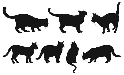 Cats silhouette icon or symbol set. Collection of cats silhouettes in different poses, sitting, walking isolated on white background. 