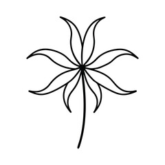 Simple Line Drawing Tropical Leaf