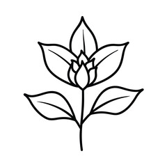 Simple Line Drawing of a Flower