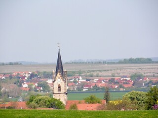 Obstblüte in Gierstädt