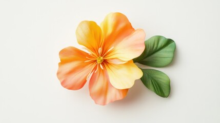 Orange flower brooch, studio shot, flat lay, for design inspiration