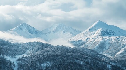Picturesque snow-capped mountains with dense forests on white surface.