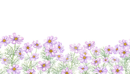 Watercolor pink cosmos flower with green leaves seamless banner isolated background. Cosmea flowers branches illustration. Floral summer, autumn ornate for wedding invitation, birthday textile