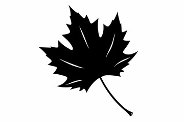 Falling Maple Leaf Silhouette Black And White Vector Illustration